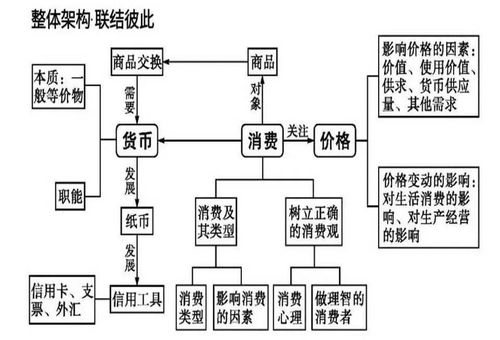 政治干貨丨2020屆高考政治必修教材思維導圖 教學設備的研究開發