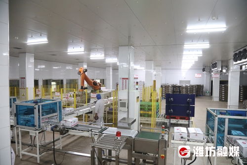 拼經濟進行時 以‘智慧大腦’賦能，炒香諸城預制菜，驅動教學設備研發新篇章